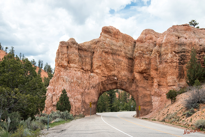 Red Canyon
Diese Tunnel wurden extra für die Straße in den Sandstein gehauen.
Schlüsselwörter: Amerika