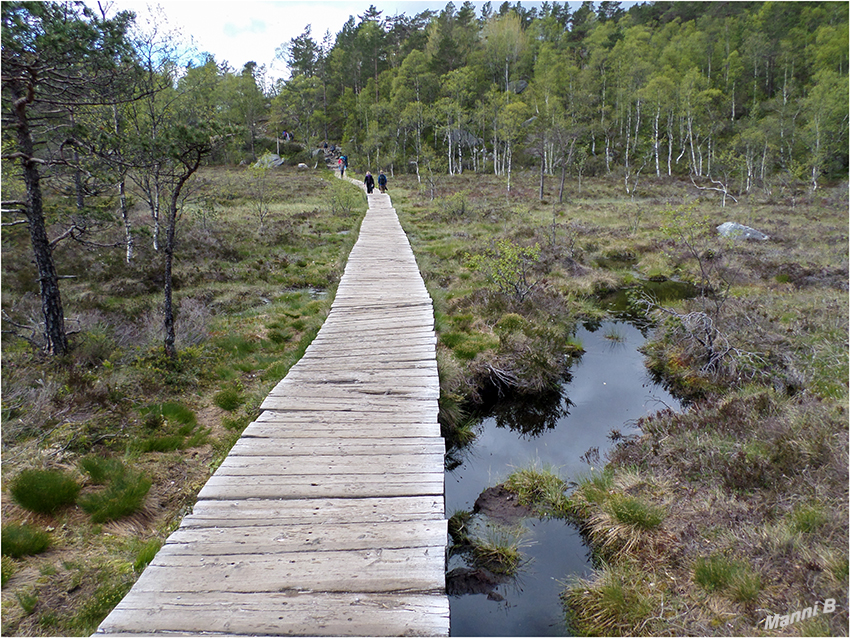 Preikestolen
Der Weg führt erst steil einen Höhenrücken hinauf und dann fast ebenerdig über Bohlenpfade durch morastigen Wald zur Urskarhöhe (418 moh.) und von dort über ein Geröllfeld zum Neverdalsskaretpass (532 moh.) hinauf. An einem kleinen See vorbei erreicht man schließlich über ein mit Treppen und Geländer gesichertes Stück die ungesicherte Plattform.
laut Wikipedia
Schlüsselwörter: Norwegen