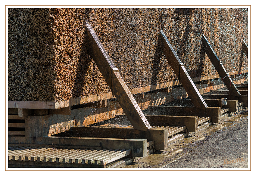 Gradierwerk
Es besteht aus einem Holzgerüst, das mit Reisigbündeln (vorwiegend Schwarzdorn) verfüllt ist. Im Falle eines Gradierwerks wird der Salzgehalt im Wasser erhöht, indem Sole durch das Reisig hindurchgeleitet wird, wobei auf natürliche Weise Wasser verdunstet. Außerdem lagern sich Verunreinigungen der Sole an den Dornen ab; dadurch wird die Qualität des erzeugten Salzes erhöht.
laut Wikipedia
Schlüsselwörter: Bad Salzuflen Gradierwerk