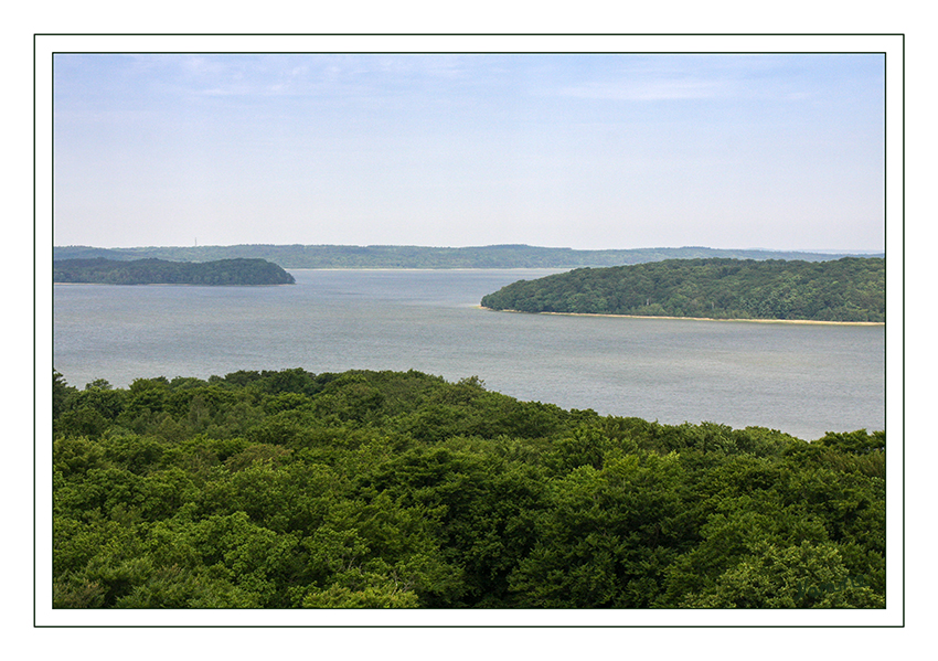 Baumwipfelpfad
Der 40 Meter hohe Aussichtsturm in der Mitte des Pfades erlaubt einen weiten Blick in die Rügener Landschaft. 
Blick auf den Jasmunder Bodden
Schlüsselwörter: Rügen, Binz, Baumwipfelpfad