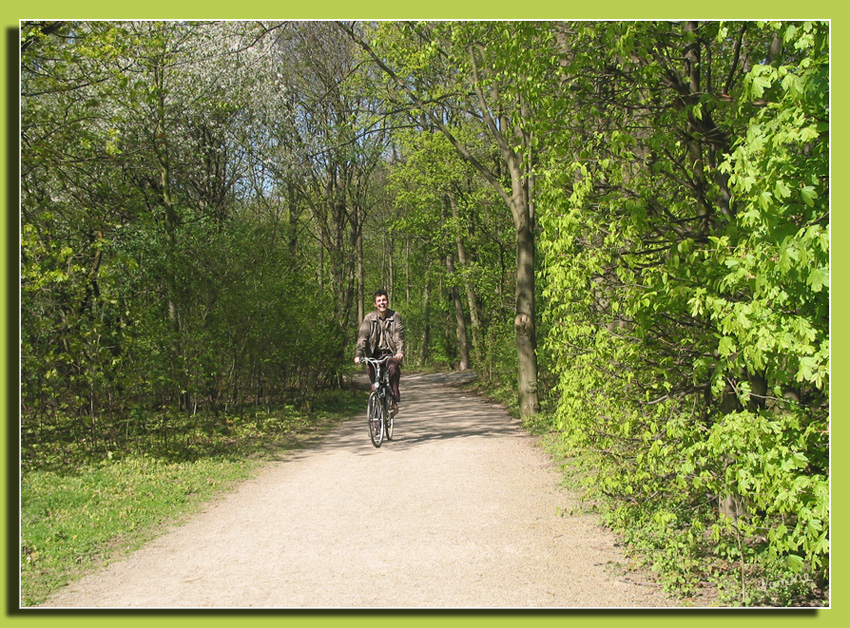 Frühlingssonne
lockt auch die Radfahrer
