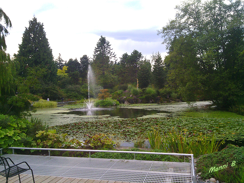 Kanadaimpressionen
In einem Park in Vancouver
Schlüsselwörter: Kanada Vancouver