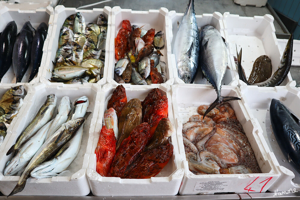 Impressionen aus Forio
Fischmarkt
Schlüsselwörter: Italien; 2024
