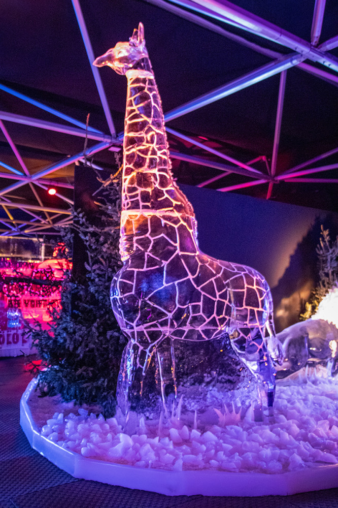 Eiswelt Oberhausen - Große Giraffe
Marianne
Schlüsselwörter: 2025