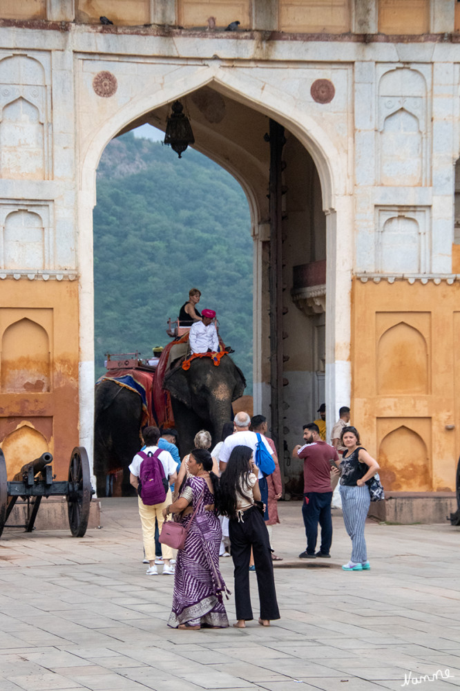 Jaipur Amber Fort
Eine touristische Attraktion sind die Elefanten, mit denen man bis zum Haupteingang des Forts die Rampe hochreiten kann. 
Schlüsselwörter: 2024