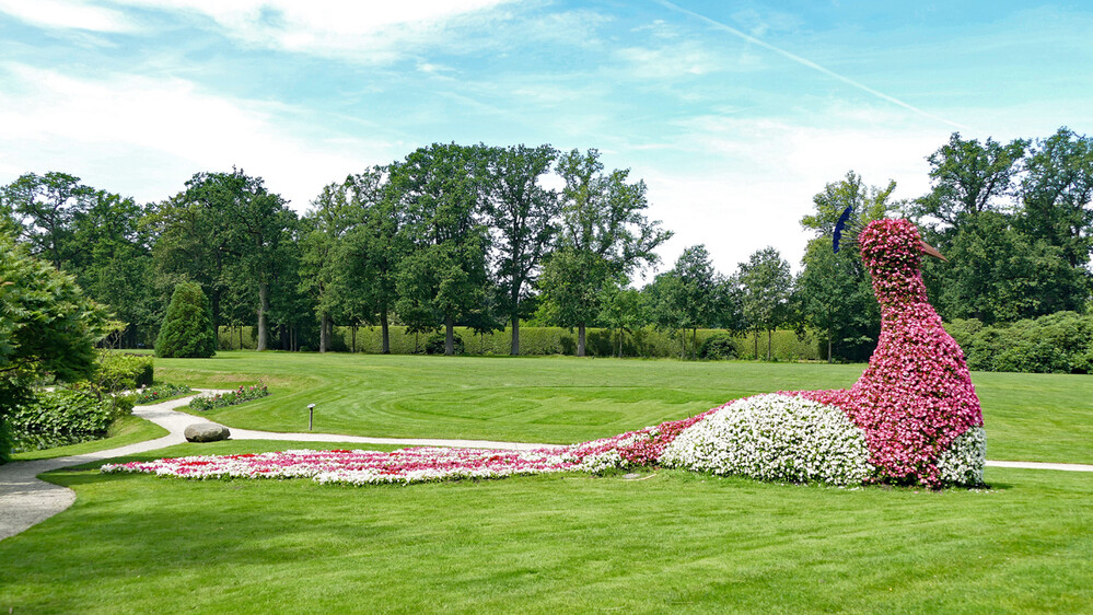 Arcen - Blumenpfau
Elise
Schlüsselwörter: 2024