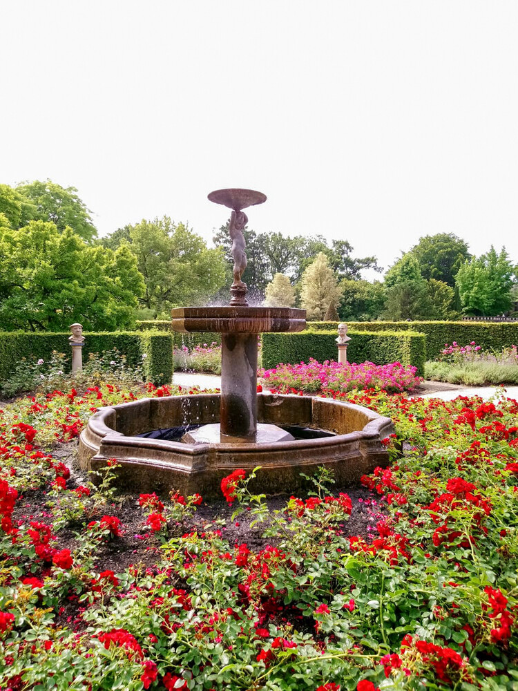 Arcen - Rosarium mit Brunnen
Gerlinde
Schlüsselwörter: 2024