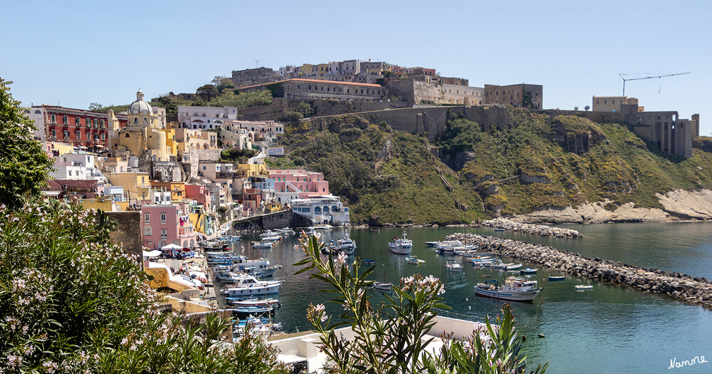 Procida
Blick auf Terra Murata, wörtlich ummauertes Land, die höchste Erhebung der Insel.
Schlüsselwörter: Italien; 2024