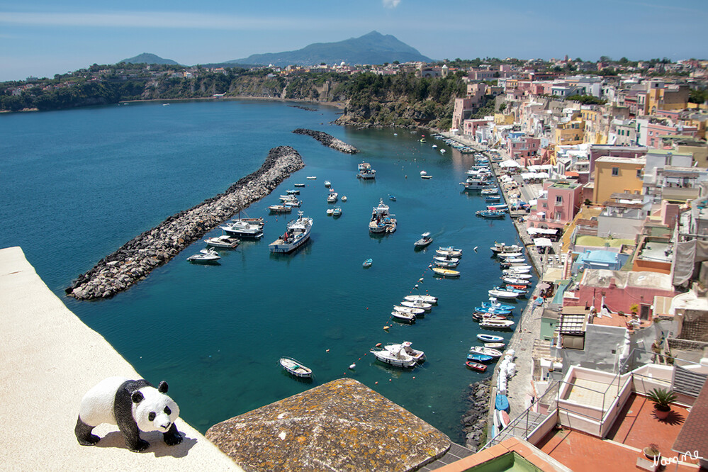 Procida - Blick auf Corricella
Mit meinem Reisebegleiter, Bambusbjörn, Blick auf die bunten Häusern und den Hafen von Corricella
Schlüsselwörter: Italien; 2024