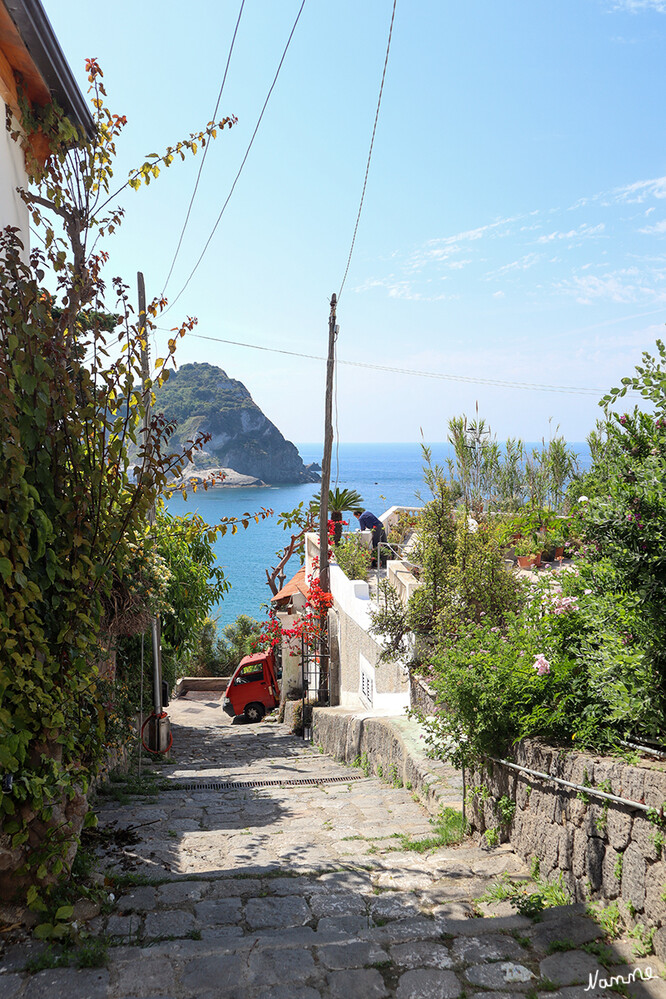 Wanderung nach Sant`Angelo
Blick auf La Roia
Über eine von einem kleinen Strand gesäumten Landzunge ist er mit der vorgelagerten Felseninsel "La Roia" verbunden,
Schlüsselwörter: Italien; 2024