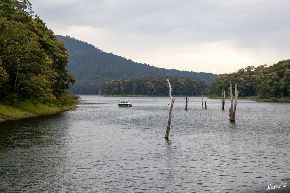 Periyar-Nationalpark Bootstour
Schlüsselwörter: 2024