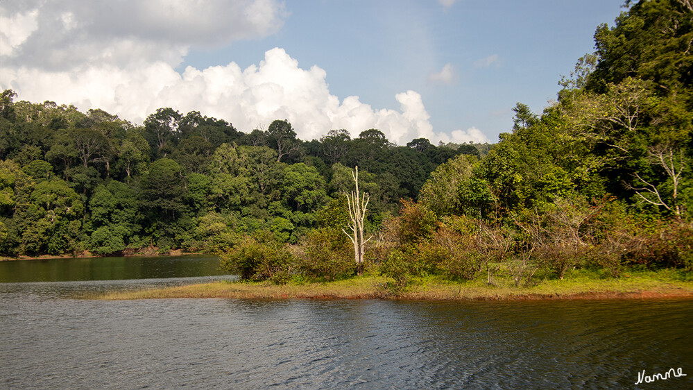 Periyar-Nationalpark Bootstour
Innerhalb des Nationalparks liegt der 26 km² große Periyar-Stausee und der für Nationalpark und See namensgebende Fluss Periyar, der in den Westghats entspringt und nach 244 km ins Arabische Meer mündet. lt. Wikipedia
Schlüsselwörter: 2024