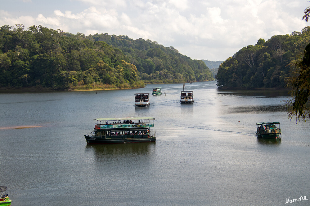 Periyar-Nationalpark Bootstour
Von den Booten aus haben wir Hirsche, Wildrinder, Affen und sehr viele Vögel gesehen, darunter den Kingfisher und viele Kormorane. 
Schlüsselwörter: 2024