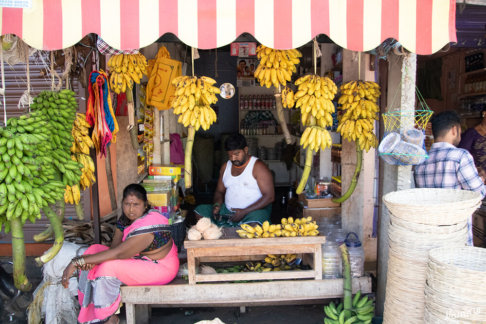 Auf einem Markt unterwegs
Schlüsselwörter: 2024