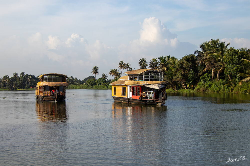 39 - Auf den Backwaters
Schlüsselwörter: 2024