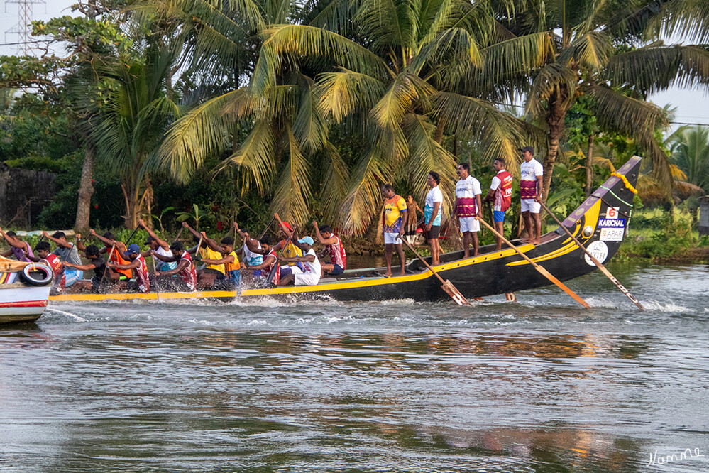 Schlangenboot auf den Backwaters
Bootsrennen mit Chundan Vallam werden traditionell auf Kanälen in den Backwaters ausgetragen. Der Rhythmus wird über Rufe weitergegeben. Der Steuermann am Heck sowie die Paddler in den letzten Reihen stehen während der Fahrt. Die Anzahl der Paddler liegt zwischen 64 und 128 Mann pro Boot. laut Wikipedia
Schlüsselwörter: 2024