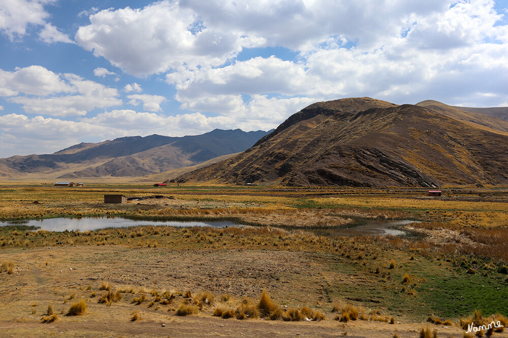 1 Peru Unterwegs nach Puno
Altiplano - peruanischen Hochebene - zwischen Cusco und Puno am Titicacasee
Schlüsselwörter: Puno