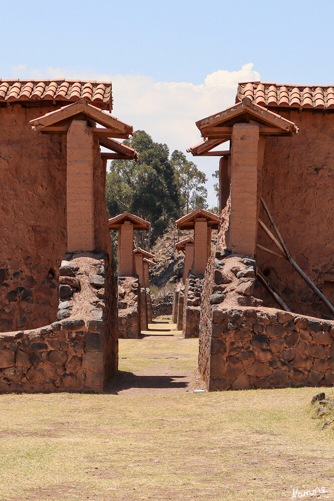 1 Peru Ruinen von Raqchi
Das wichtigste Highlight von Raqchi ist der Tempel, der absolut sehenswert ist. Bei einem Rundgang durch die Ruinen von Raqchi fallen aber auch die Säulen und die nicht ganz perfekte Verarbeitung der Steine in den Mauern auf – ein großer Kontrast zu den säuberlich gestalteten Mauern der anderen Inkastätte. laut skr
Schlüsselwörter: Peru