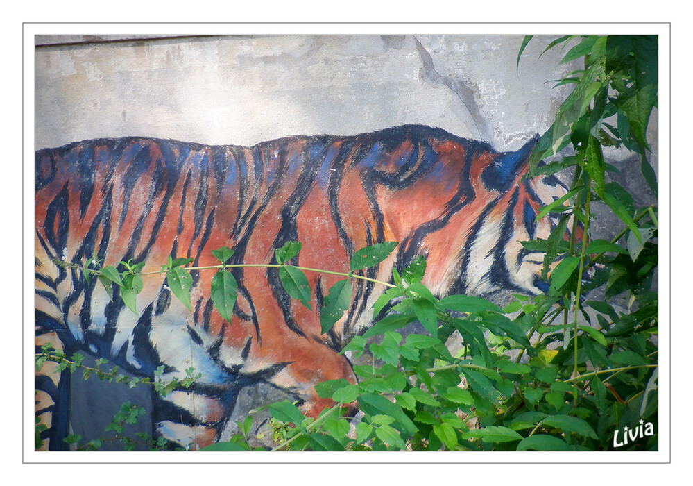 Graffiti - Tiger
Schlüsselwörter: 2024