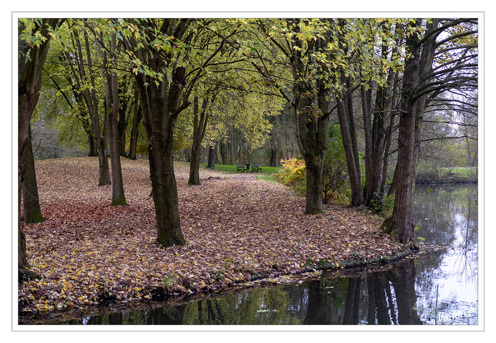 46 - Novemberwetter
Schlüsselwörter: 2024