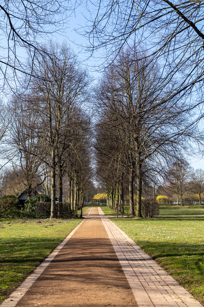 Fotowalk Düsseldorf Südpark "Allee"
Marianne
Schlüsselwörter: 2025