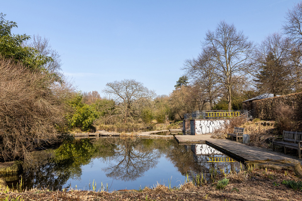 Fotowalk Düsseldorf Südpark "Mit Spiegelung"
Marianne
Schlüsselwörter: 2025