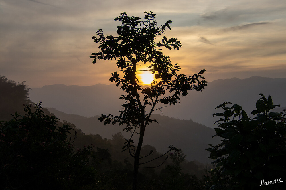 Periyar-Nationalpark
Früh morgens
Die jährliche Niederschlagsmenge liegt zwischen 2000 und 3000 mm. Zwei Drittel des Regens fallen während des Südwestmonsuns von Juni bis September. lt. Wikipedia
Schlüsselwörter: 2024