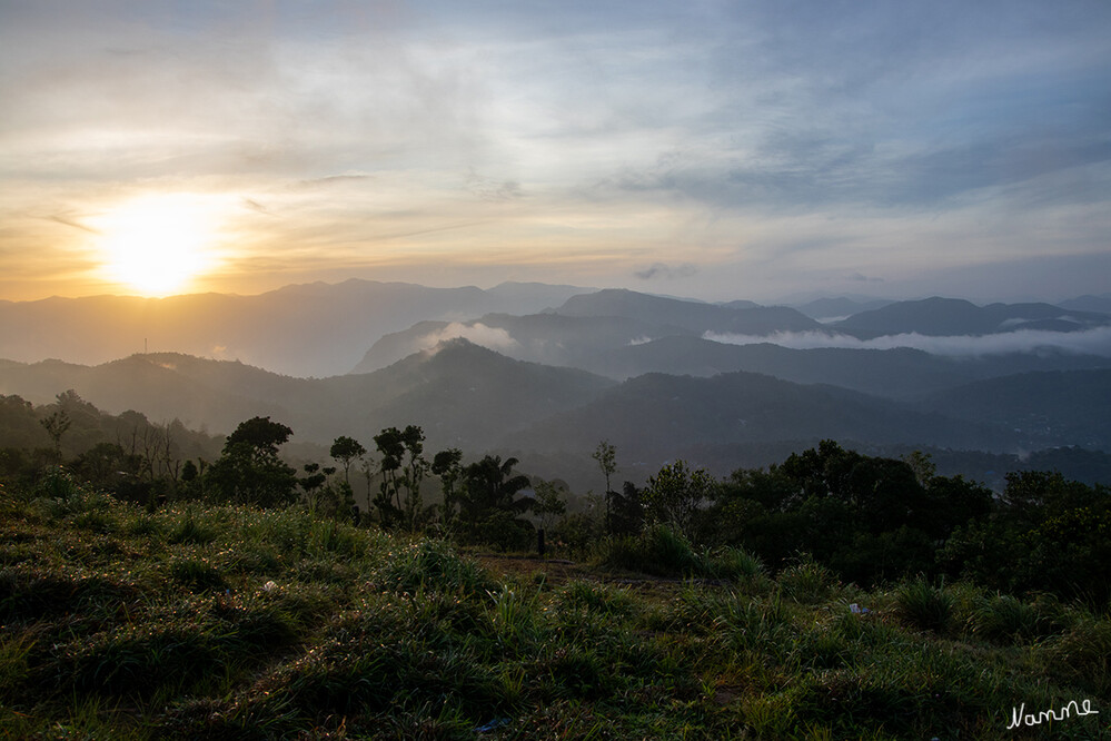 Periyar-Nationalpark
Morgens früh
Das Periyar-Schutzgebiet liegt mitten im Bergland der Westghats. Im Norden und Osten wird es von über 1700 Meter hohen Bergzügen begrenzt, die nach Westen hin in eine ausgedehnte, durchschnittlich 1200 Meter hohe Hochebene auslaufen. Von dieser Ebene fällt das Gelände steil zum tiefsten Punkt ab, dem 100 Meter hoch gelegenen Tal des Flusses Pamba. Die höchste Erhebung ist der 2019 Meter hohe Kottamalai. lt Wikipedia
Schlüsselwörter: 2024