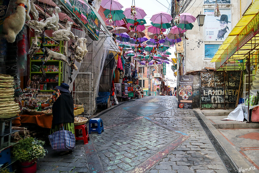 2 Bolivien La Paz  Hexenmarkt
Der Hexenmarkt liegt an der Calle Jiménez und der Calle Linares im Zentrum, nicht weit von der Calle Sagárnaga entfernt, der wichtigsten Straße für Touristen. Von der nahe gelegenen Kirche San Francisco und dem Museo de la Coca aus lässt sich der Markt nicht verfehlen. laut expedia
Schlüsselwörter: La Paz