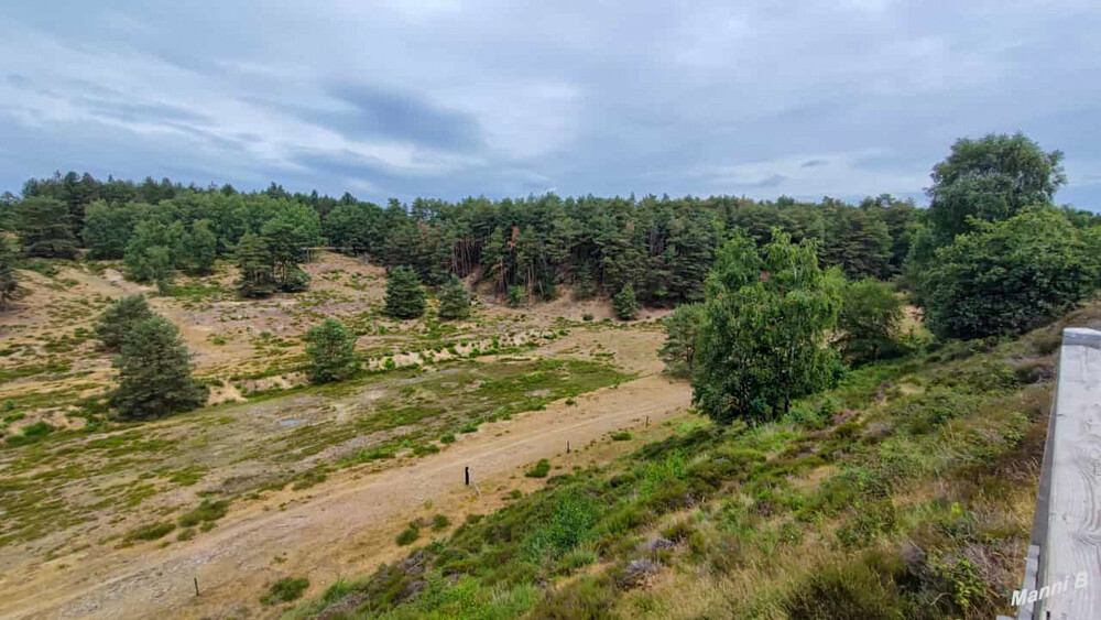 Naturschutzgebiet Brachter Wald
Einst das größte Munitionsdepot in Westeuropa
