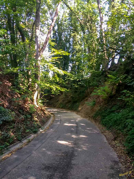 Radweg
zwischen Bamlach und Schliengen
