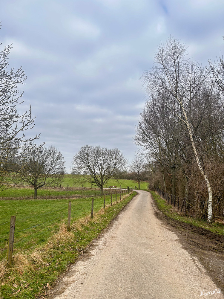 Landschaft im Februar
Schlüsselwörter: 2025