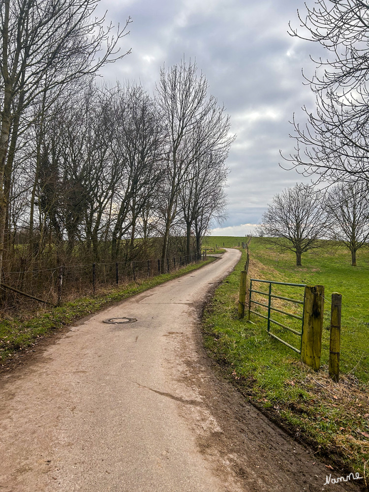 Landschaft im Februar
Schlüsselwörter: 2025