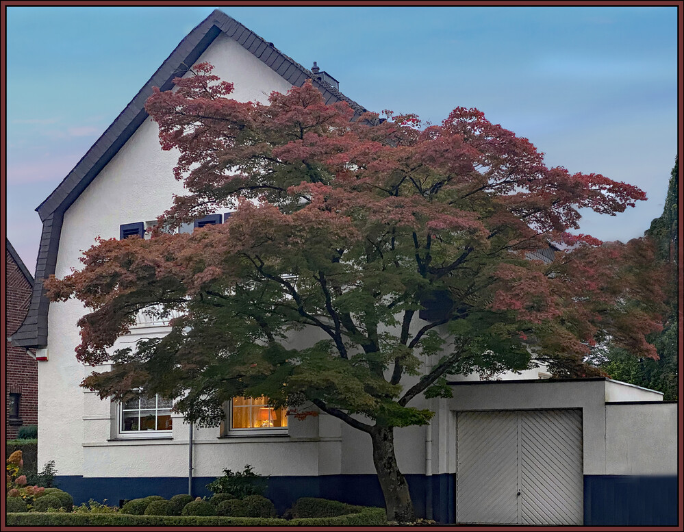 Herbstlicher Baum, Wald  "Abendstimmung im Oktober"
Elise
Schlüsselwörter: 2024