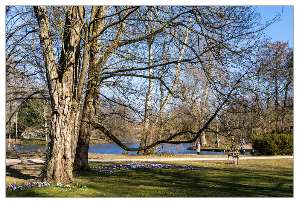 Alles im Park "Im alten Volksgarten"
Marianne
Schlüsselwörter: 2025