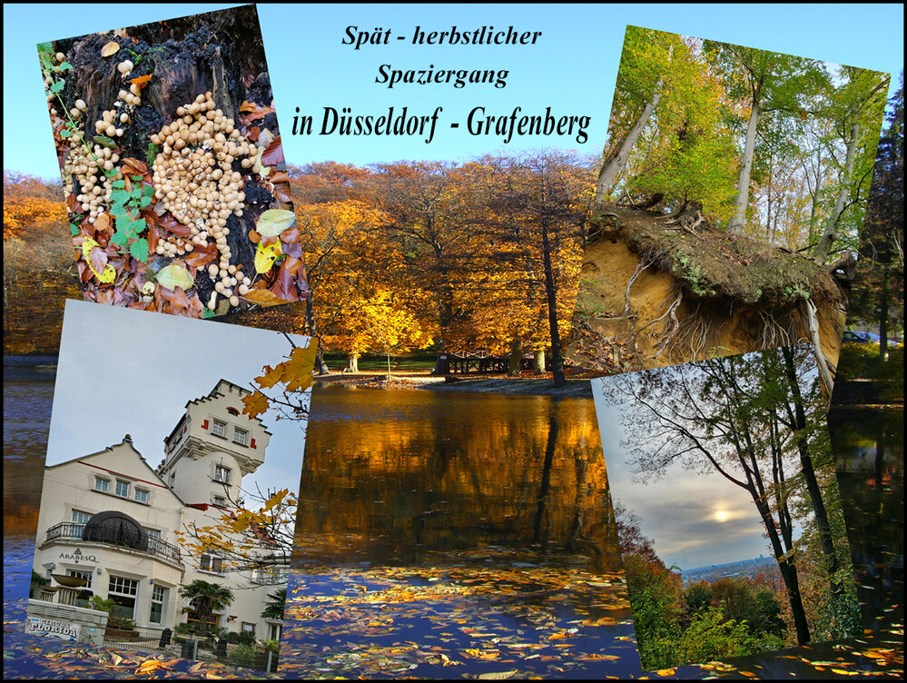 Collage "Spaziergang in Grafenberg"
Elise
Schlüsselwörter: 2023