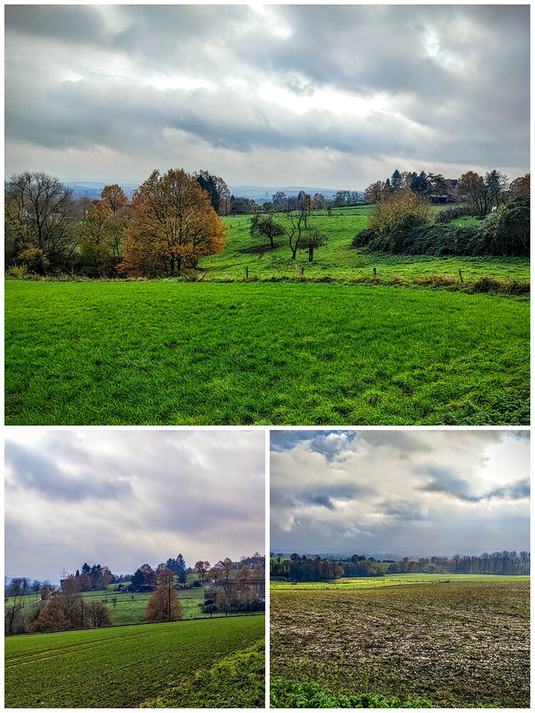 Collage "Herbstwanderung"
Manni
Schlüsselwörter: 2023