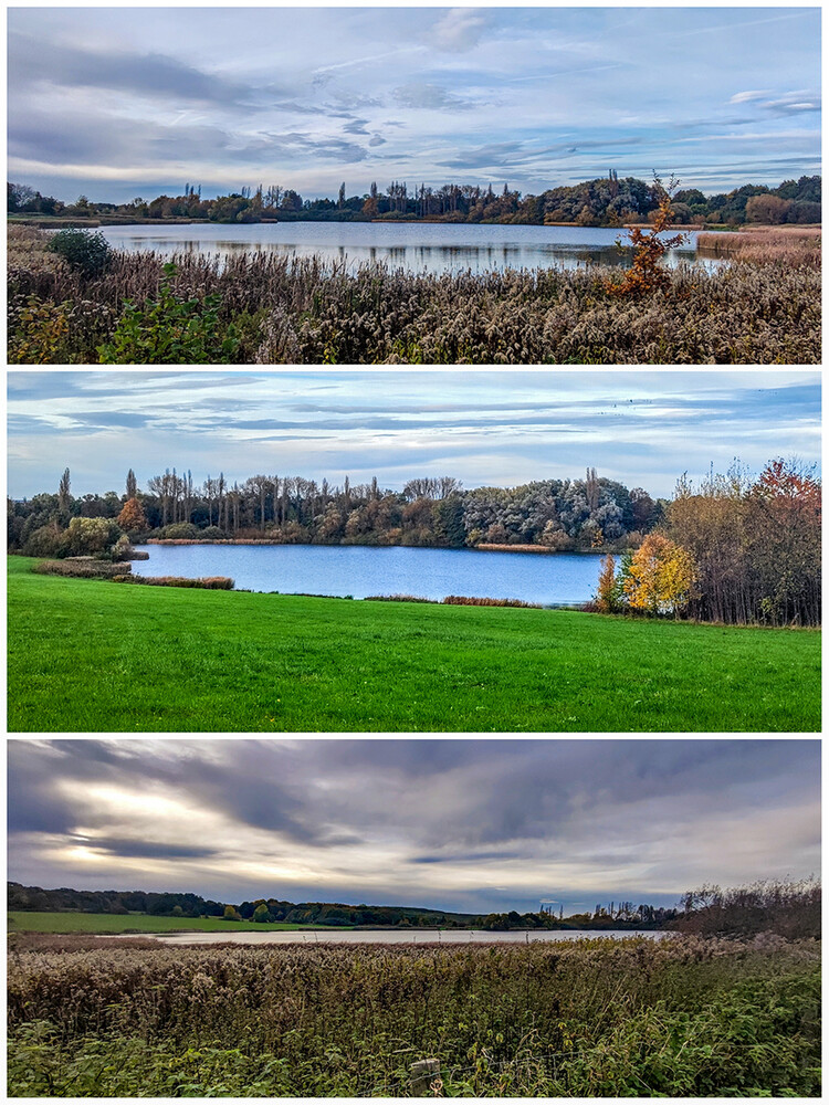 Collage "Naturschutzgebiet Lanstroper See"
Manni
Schlüsselwörter: 2023