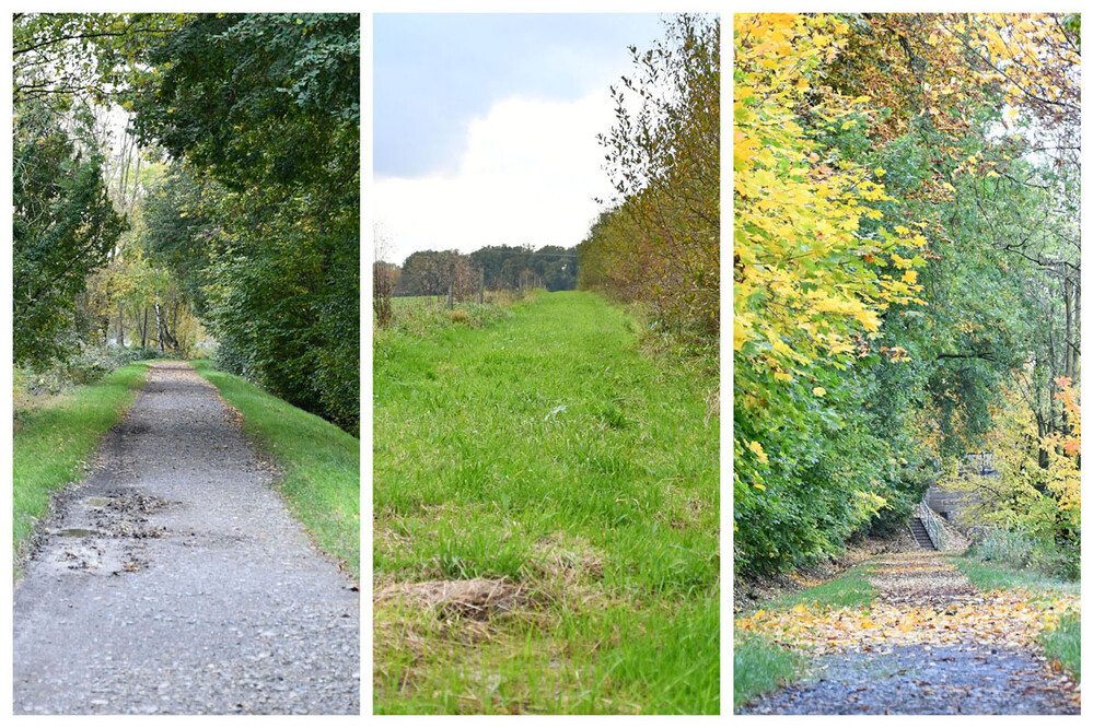 Collage „Wege“
Perla
Schlüsselwörter: 2023