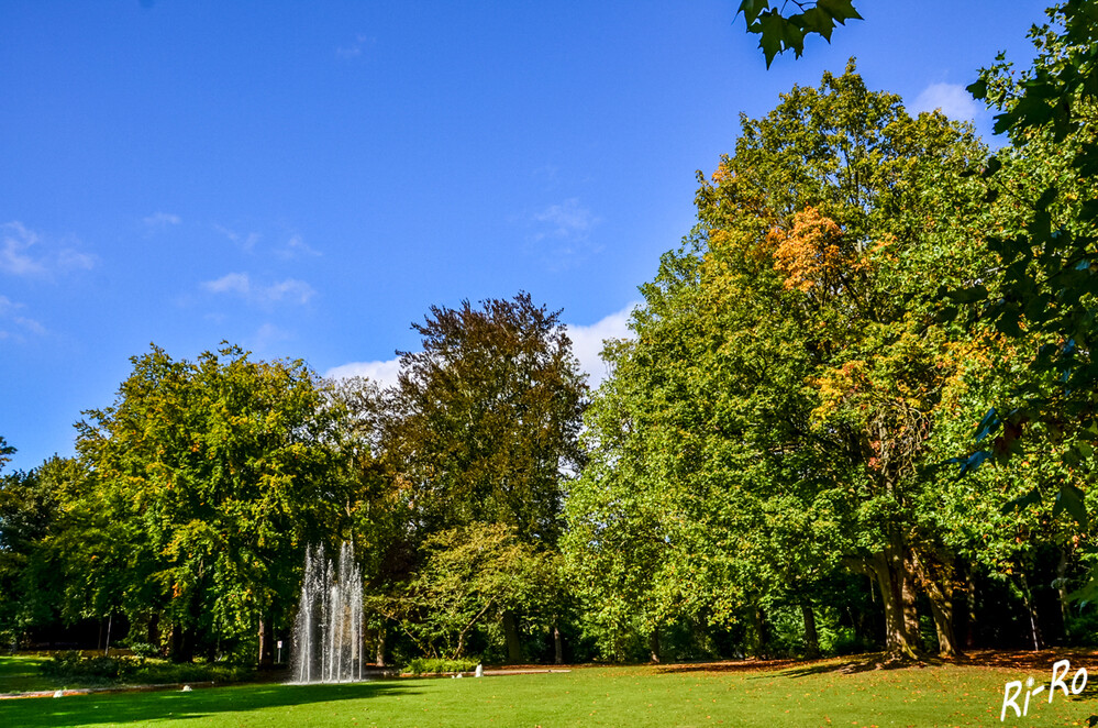 Neusser Stadtgarten
Schlüsselwörter: 2024