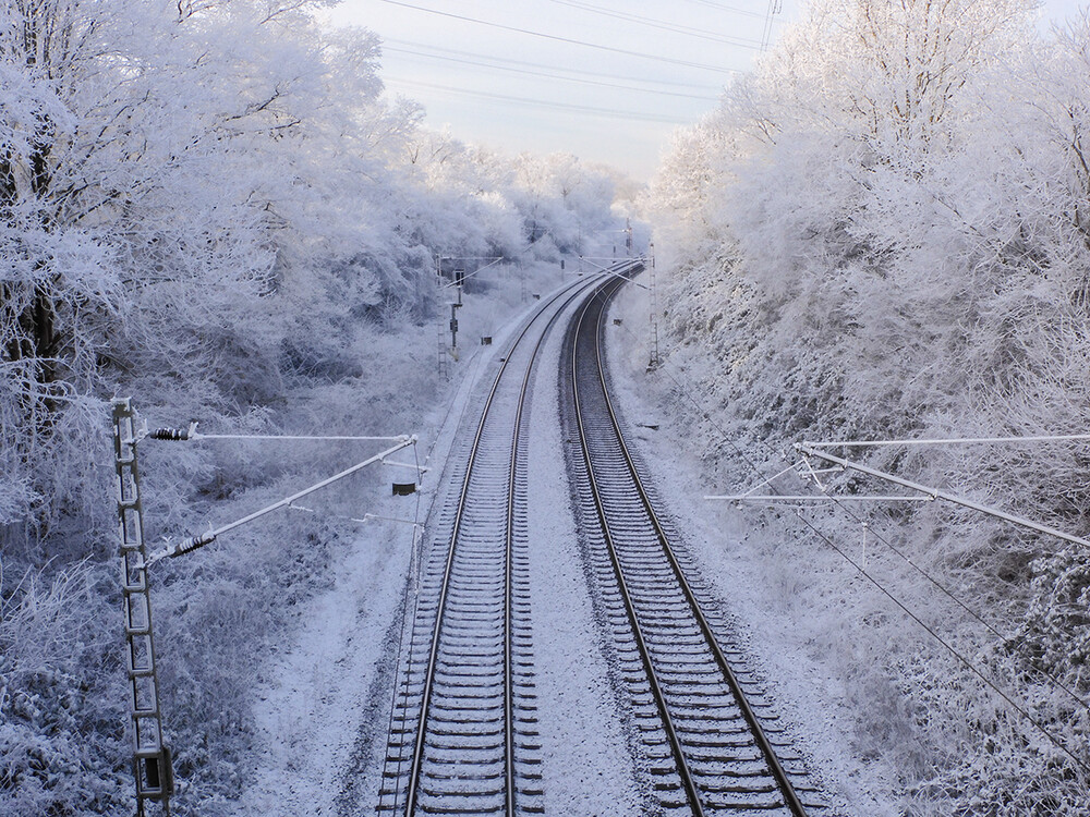 Dezemberfotos „Bahntrasse“
Perla
Schlüsselwörter: 2021