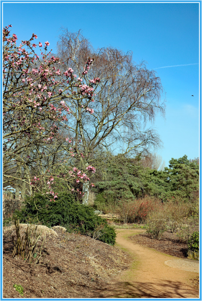 Fotowalk Düsseldorf Südpark "Frühlingserwachen"
Elise
Schlüsselwörter: 2025