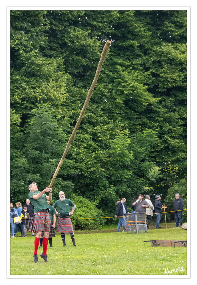 Highland Games
Baumstammwerfen (Tossing the Caber)
Ziel ist es den Baum zum Überschlag zu bringen. Es stehen jeweils zwei Bäume in unterschiedlichen Längen und Gewichten zur Verfügung. Es gibt keine Abwurflinie, sondern einen Abwurfbereich (zur Sicherheit), somit auch kein Übertreten. Der Baum muss selbst aufgenommen werden. Gelingt das zweimal nicht, darf der Baum beim letzten Versuch in die Hand gestellt werden. Entscheidet sich der Athlet dafür mit dem großen Baum zu beginnen, kann er wieder auf den kleineren zurück wechseln. laut highland-game
Schlüsselwörter: 2024