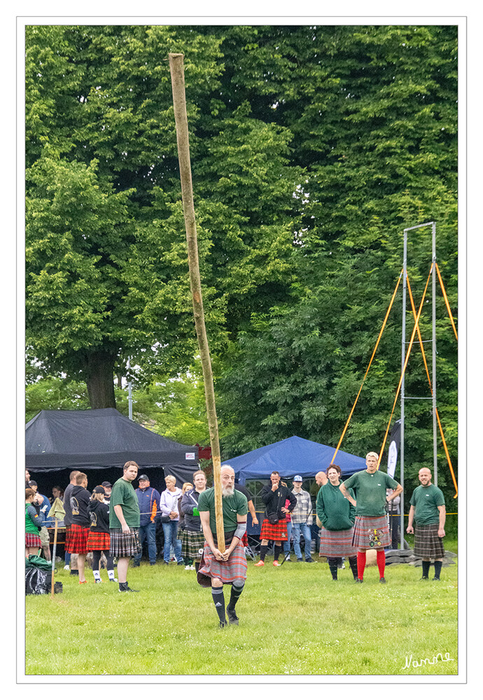 Highland Games
Baumstammwerfen (Tossing the Caber)
Ziel ist es den Baum zum Überschlag zu bringen. Es stehen jeweils zwei Bäume in unterschiedlichen Längen und Gewichten zur Verfügung. Es gibt keine Abwurflinie, sondern einen Abwurfbereich (zur Sicherheit), somit auch kein Übertreten. Der Baum muss selbst aufgenommen werden. Gelingt das zweimal nicht, darf der Baum beim letzten Versuch in die Hand gestellt werden. Entscheidet sich der Athlet dafür mit dem großen Baum zu beginnen, kann er wieder auf den kleineren zurück wechseln. laut highland-game
Schlüsselwörter: 2024