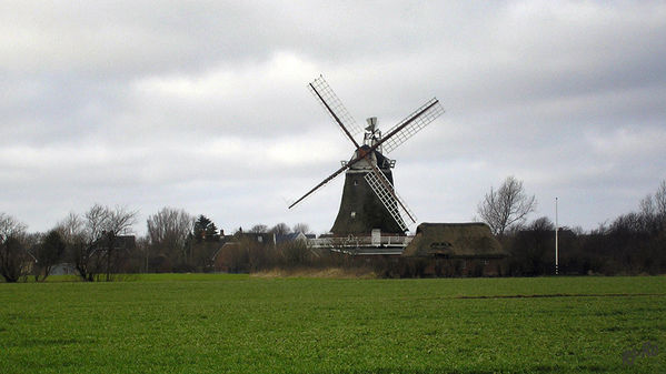 Oldsumer Mühle auf der Insel Föhr
Die ursprüngliche Mühle ist im Jahr 1700 errichtet worden u. um 1900 abgebrannt.
Schlüsselwörter: Mühle, Insel Föhr