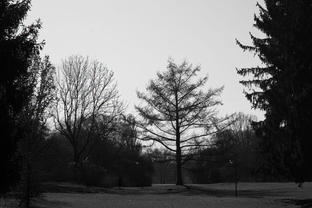 Fotowalk Düsseldorf Südpark "Alles in schwarz-weiß"
Karl-Heinz
Schlüsselwörter: 2025