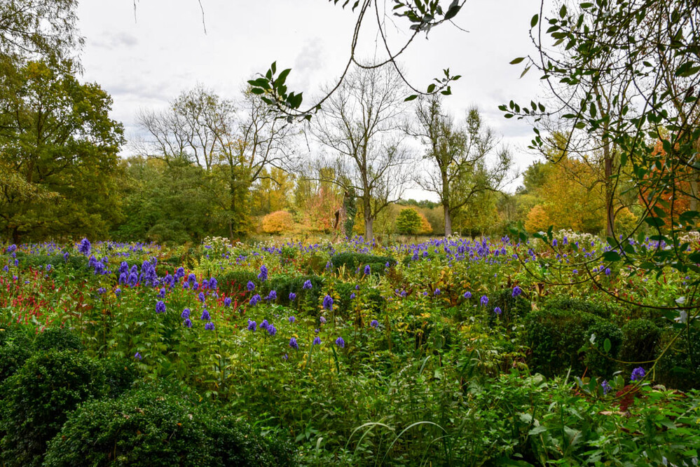 Landschaft "Herbstblumen"
Karl-Heinz
Schlüsselwörter: 2022