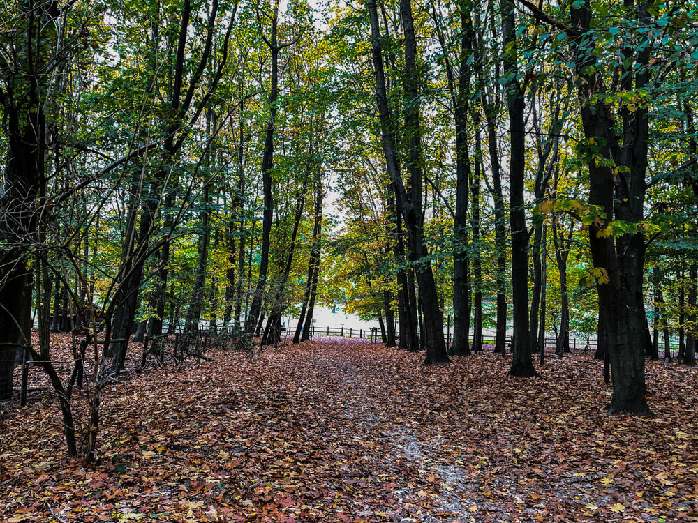 Landschaft "Waldweg"
Karl-Heinz
Schlüsselwörter: 2022