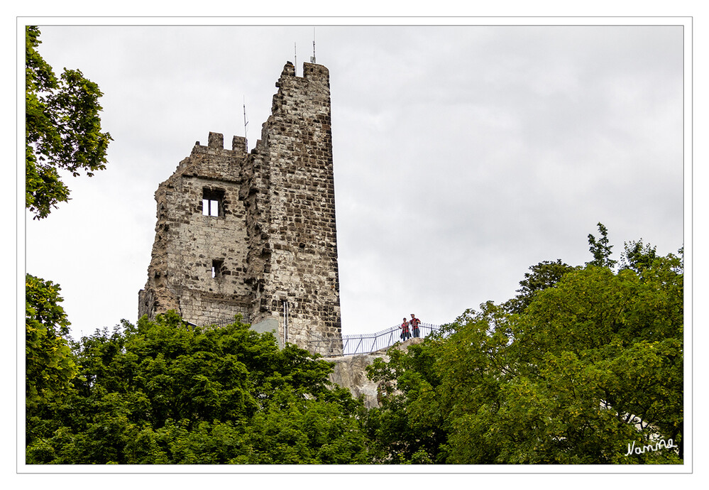 Burg Drachenfels
Im Laufe der Zeit wuchsen die Trachyt-Steinbrüche bis an die Kuppe heran. Als ab 1807 die vollständige Zerstörung drohte, wurde die Abbautätigkeit verboten, nachfolgend 1836 die Bergkuppe von der preußischen Regierung gekauft.

Am 18. Oktober 1819 zogen Bonner Studenten auf den Drachenfels, um den Jahrestag der Völkerschlacht bei Leipzig zu feiern. Unter ihnen war Heinrich Heine, der in seinem Gedicht „Die Nacht auf dem Drachenfels“ diesen burschenschaftlichen Ausflug beschrieb.

1967 kam es zu größeren Felsabbrüchen. Zwischen 1971 und 1973 wurde die Bergkuppe durch Stahlanker und Betonarmierungen gesichert. 
Schlüsselwörter: Königswinter: 2024