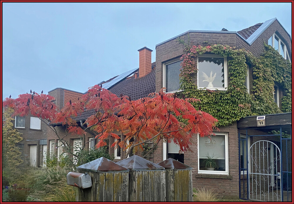 Herbstlicher Baum, Wald  "Lieblingsbaum"
Elise
Schlüsselwörter: 2024